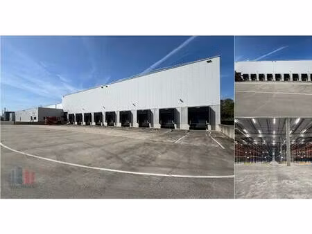 surface industrielle à louer à victor dumonlaan 32 willebroek (rbv23299)