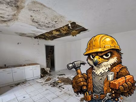 vente maison 2 pièces 50 m² landes (17380)