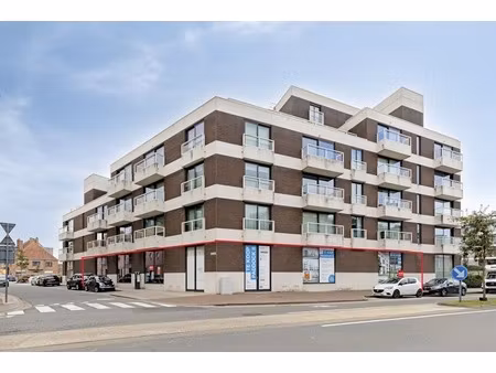 commercieel te koop in de panne