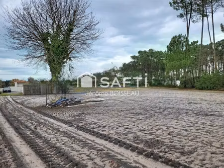 vente terrain 1532 m² biscarrosse (40600)