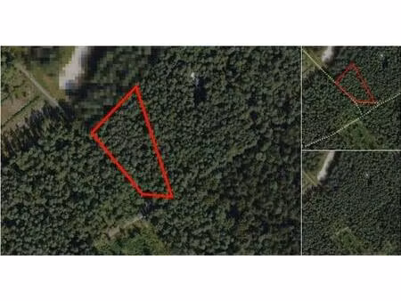 terrain agricole à vendre de 2683 m² à zutendaal (rbv23185)