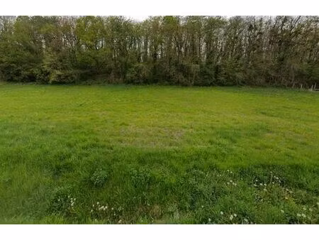 vente terrain 7165 m² saint-aignan (41110)