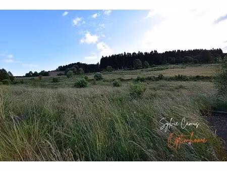 vente terrain 756 m² dunières (43220)