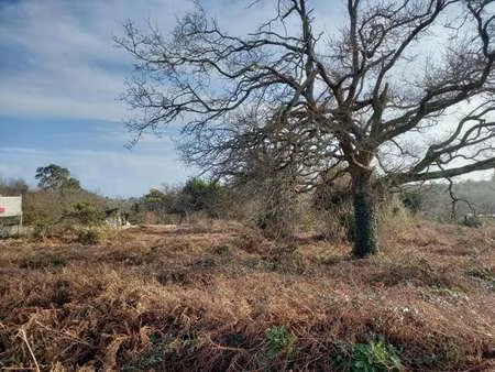vente terrain à crozon (29160) : à vendre / 5973m² crozon