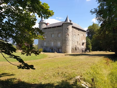 vente château