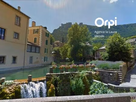 vente immeuble 113 m² florac trois rivières (48400)