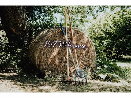 vente maison 9 pièces 300 m² à la sauve (33670)  650 000 €