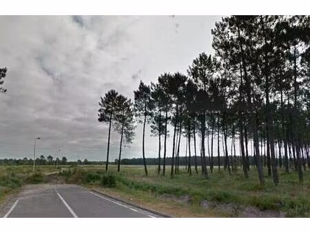 local d'activités à louer