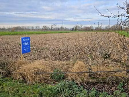 terrain à vendre à uikhoven € 49.480 (lkqci) - cops & swenters | zimmo