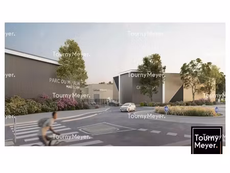 local d'activites a louer