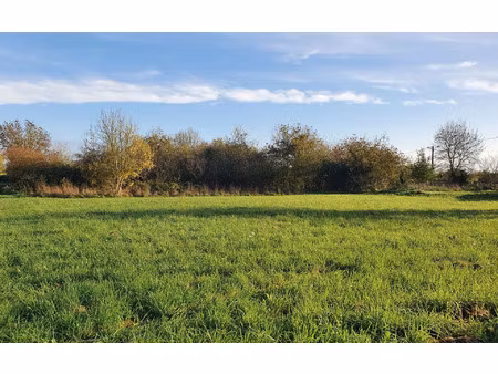 vente terrain 1050 m² faleyras (33760)