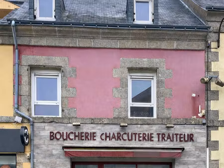 immeuble cleguerec 5 pièce(s) 146.65 m2