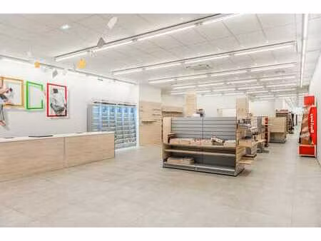 iconische cinemazaal met woonunit en commerciële ruimtes ...