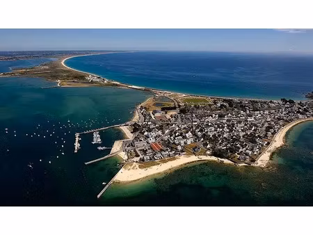 vente terrain à gâvres (56680) : à vendre / 308m² gâvres