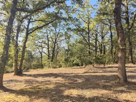 vente terrain 2000 m² à grisolles (82170)  121 000 €