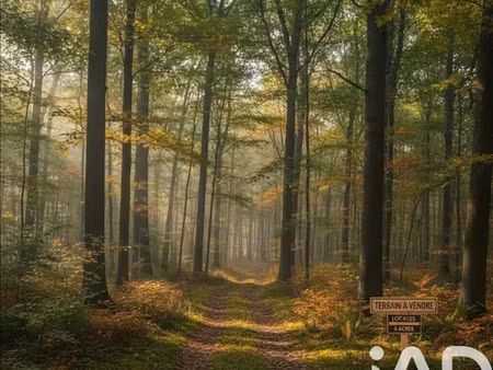 vente terrain 36830 m² à escles-saint-pierre (60220)  45 000 €