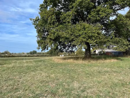 vente terrain 2580 m² à la nocle-maulaix (58250)  16 500 €