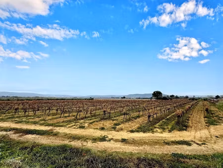 vente terrain 14520 m² à saint-côme-et-maruéjols (30870)  32 000 €