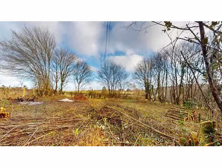 vente terrain à batir 375 m² à savianges (71460)  20 000 €