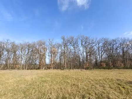 vente terrain 815 m² à montdurausse (81630)  53 000 €