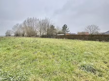 vente terrain 746 m² à boëseghem (59189)  50 000 €