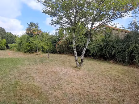 vente terrain 550 m² à sainte-flaive-des-loups (85150)  59 900 €