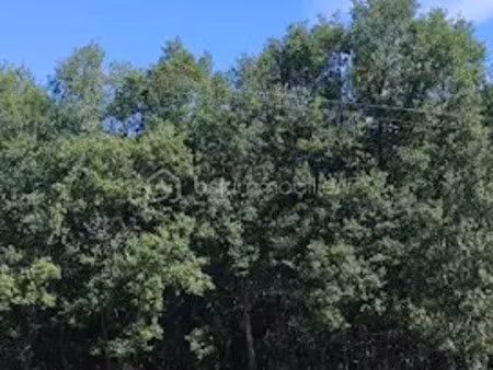 vente terrain 1821 m² à verlhac-tescou (82230)  55 000 €