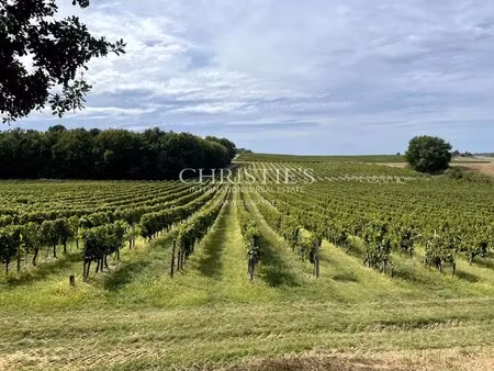 for sale at duras  renowned vineyard estate with id 357397000