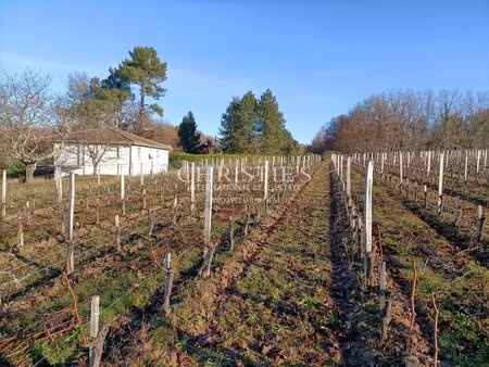 small vineyard estate for sale of 6.86 ha with farm buildings in excellent condition with 
