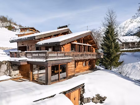 chalet - just few steps from the village and ski slopes with id 057318