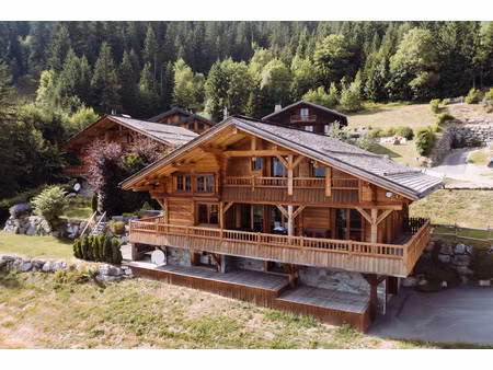 chalet - close to the slopes with id 059854