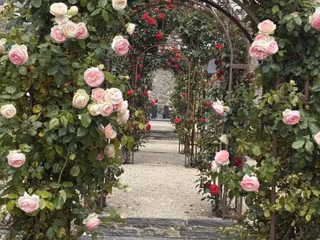 off market – loire valley – a 15th/18th century chateau set in 21 enclosed acres with id 2