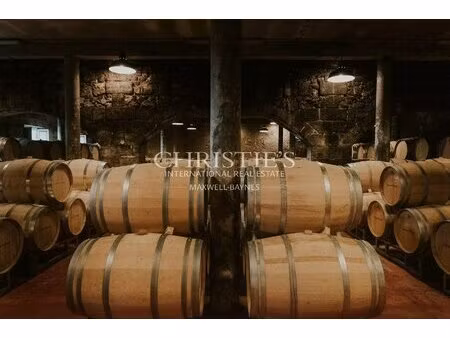 exceptional wine estate for sale in the saint-emilion region with id 3586504652