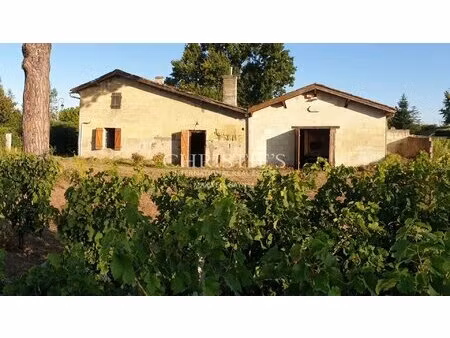 for sale about 2 5 ha of aoc saint-emilion vine and smalle house to renovate with id 35536