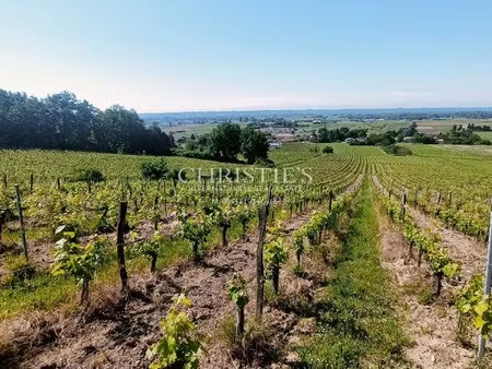 high-quality terroir  organic farming  8 ha of vines  2 houses  winery with id 3586125613