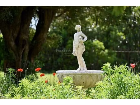 castle 17th century with vineyard  33 ha with 15 ha of organic vines with id 3482615625