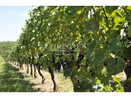 pessac léognan aoc  30 hectares  top terroir  villa with id 3586358021