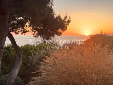 sublime natural environment - by the sea - bay of ajaccio with id 295367241
