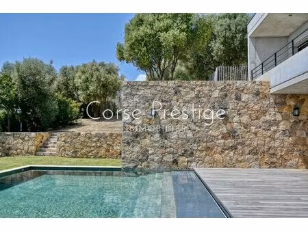 contemporary villa - sea and pool view - gulf of valinco with id 2985929310