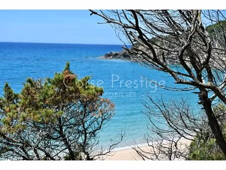 waterfront property - bay of valinco - south corsica with id 2984787450