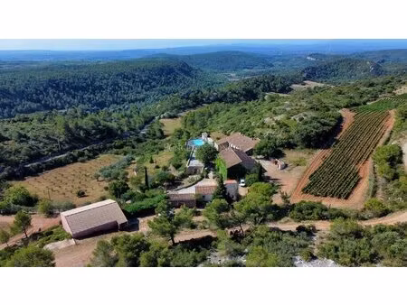isolated property with breathtaking views 10 ha  farmhouse and gites  small vineyard with 
