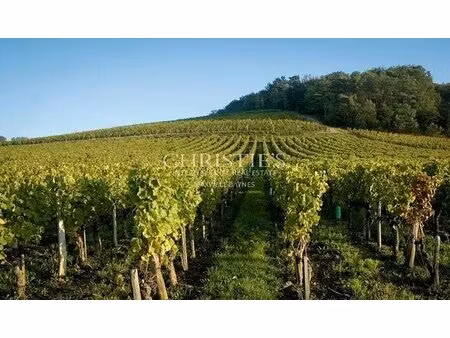 for sale 13ha in a single plot in aoc saint-emilion grand cru with id 3584425769