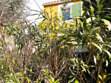 vente appartement 3 pièces 35 m² la londe-les-maures (83250)