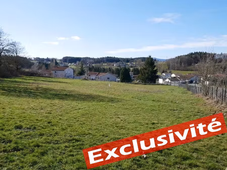 vente terrain 919 m² sainte-sigolène (43600)