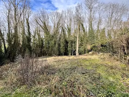 vente terrain 557 m² à villemareuil (77470)  85 000 €