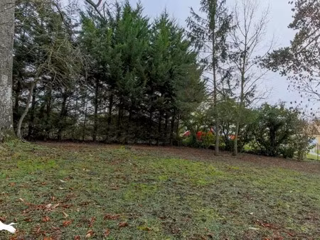 vente terrain 507 m² à prunay-le-temple (78910)  118 050 €