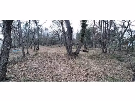 vente terrain 699 m² à trans-en-provence (83720)  139 000 €