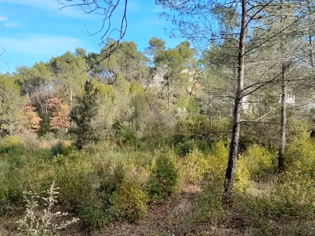 vente terrain 620 m² à brignoles (83170)  130 000 €