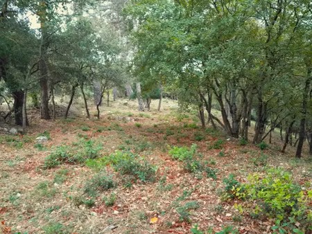 vente terrain 600 m² à saint-maximin-la-sainte-baume (83470)  170 000 €