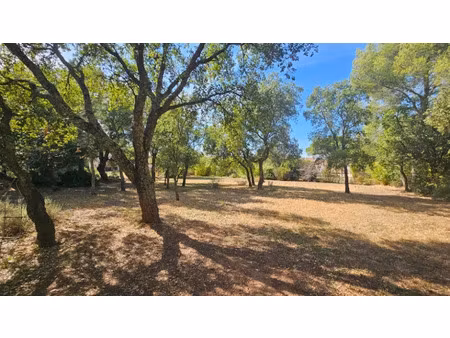 vente terrain 1007 m² à le cannet-des-maures (83340)  244 000 €